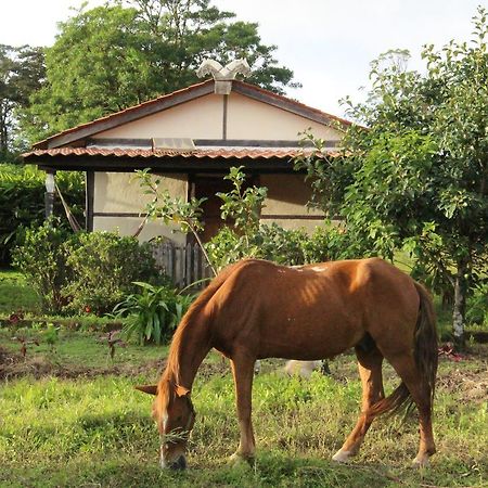 Finca Lindos Ojos Эстели Экстерьер фото