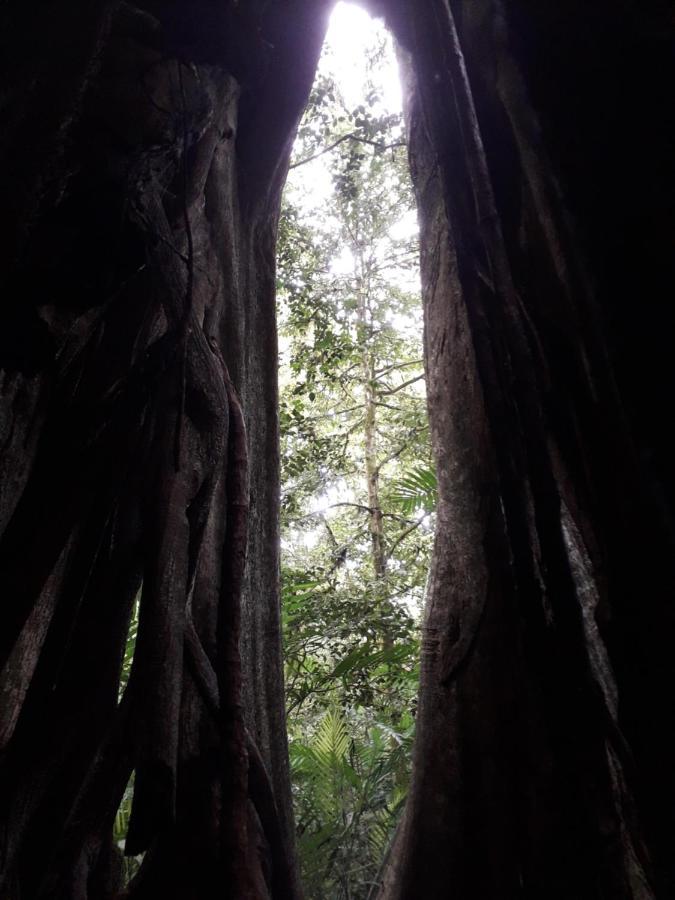 Finca Lindos Ojos Эстели Экстерьер фото