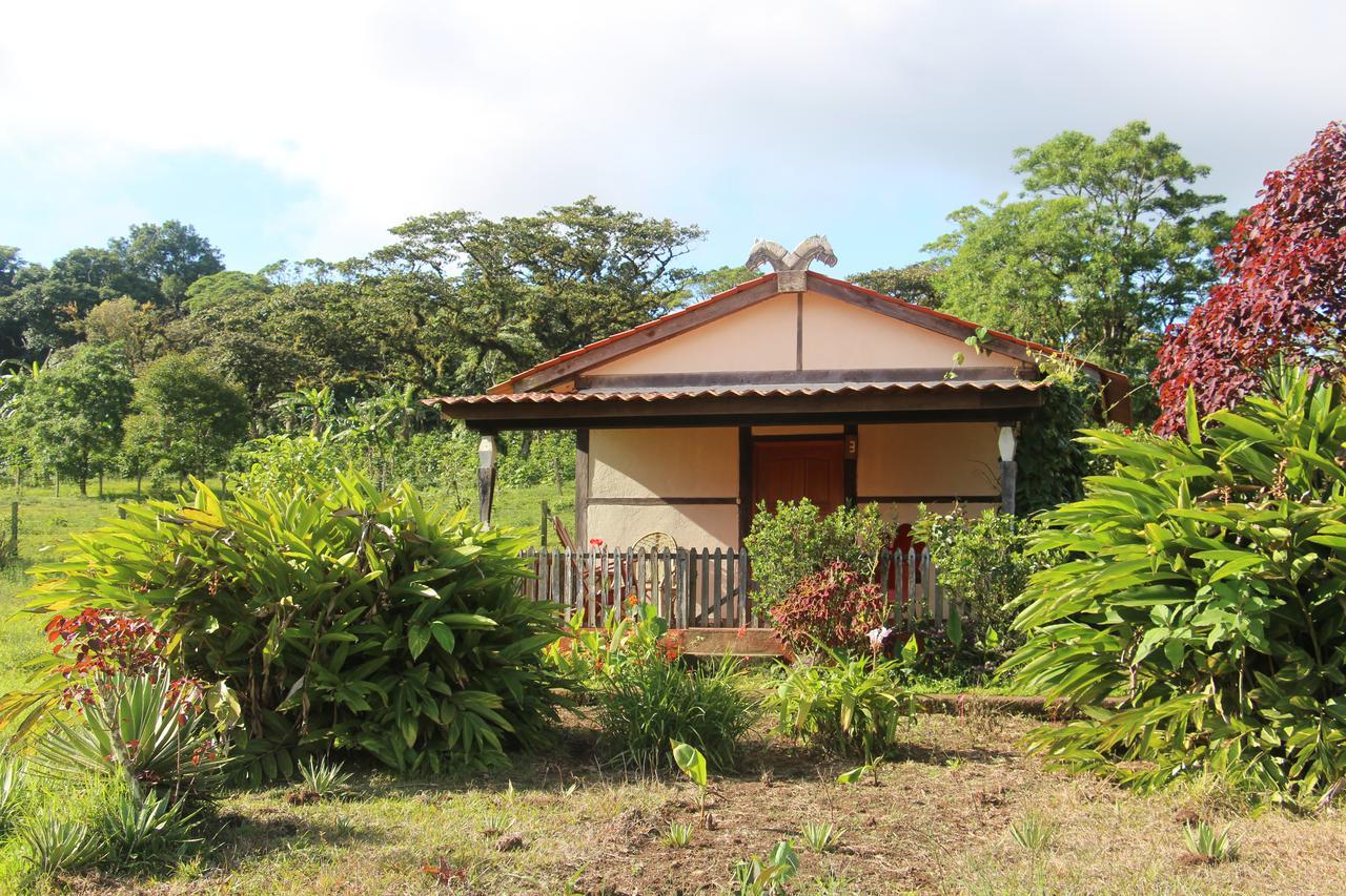 Finca Lindos Ojos Эстели Экстерьер фото