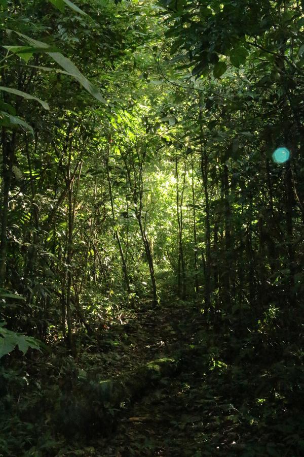 Finca Lindos Ojos Эстели Экстерьер фото