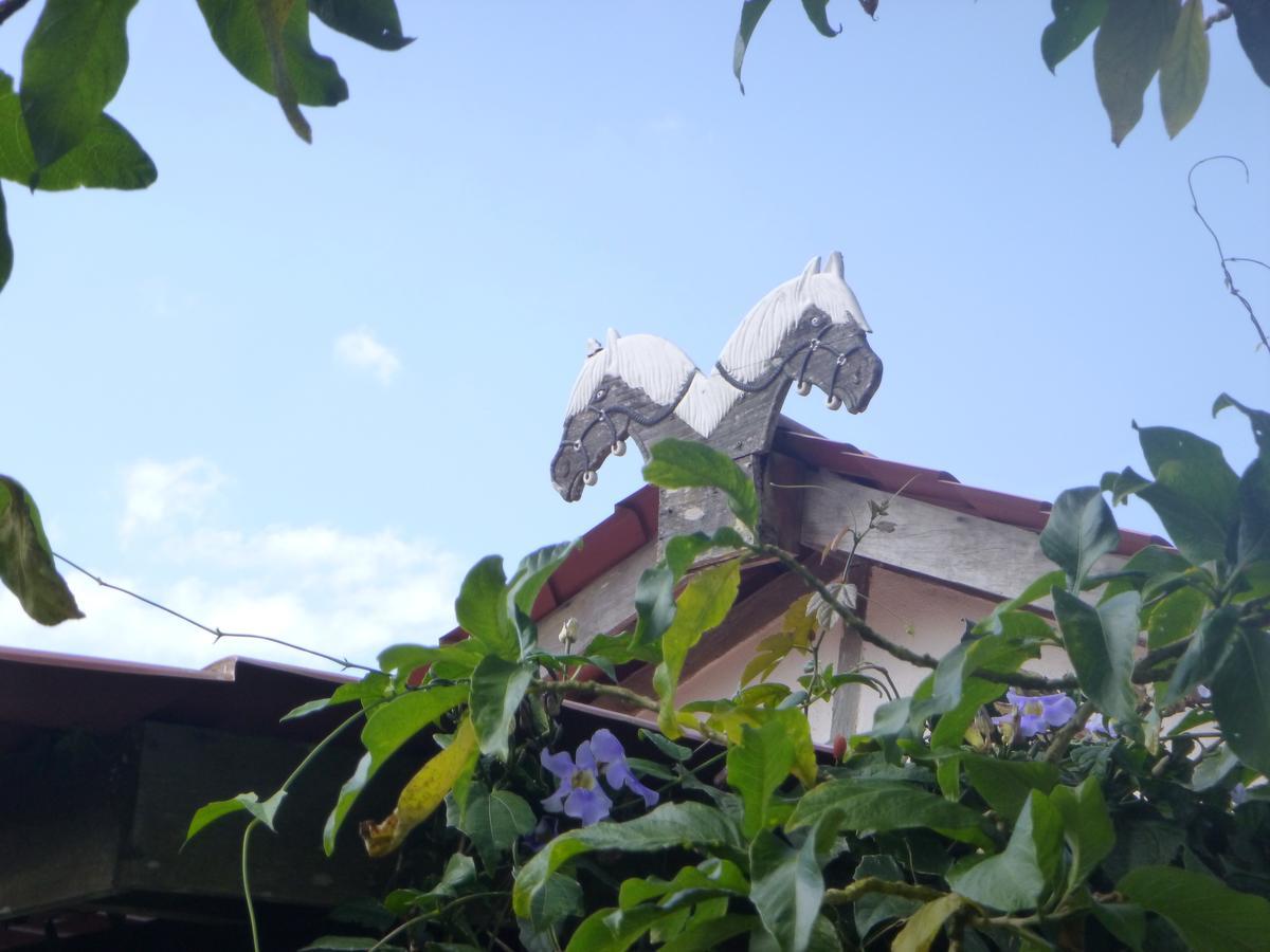 Finca Lindos Ojos Эстели Экстерьер фото